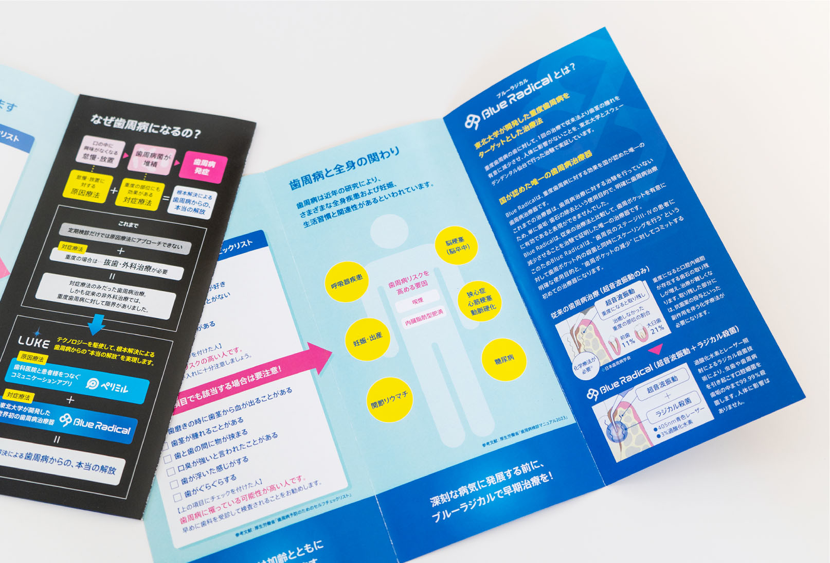 Blue Radical リーフレット