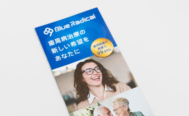 Blue Radical リーフレット